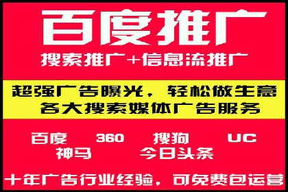 SEM广告投放的精准定位与优化案例